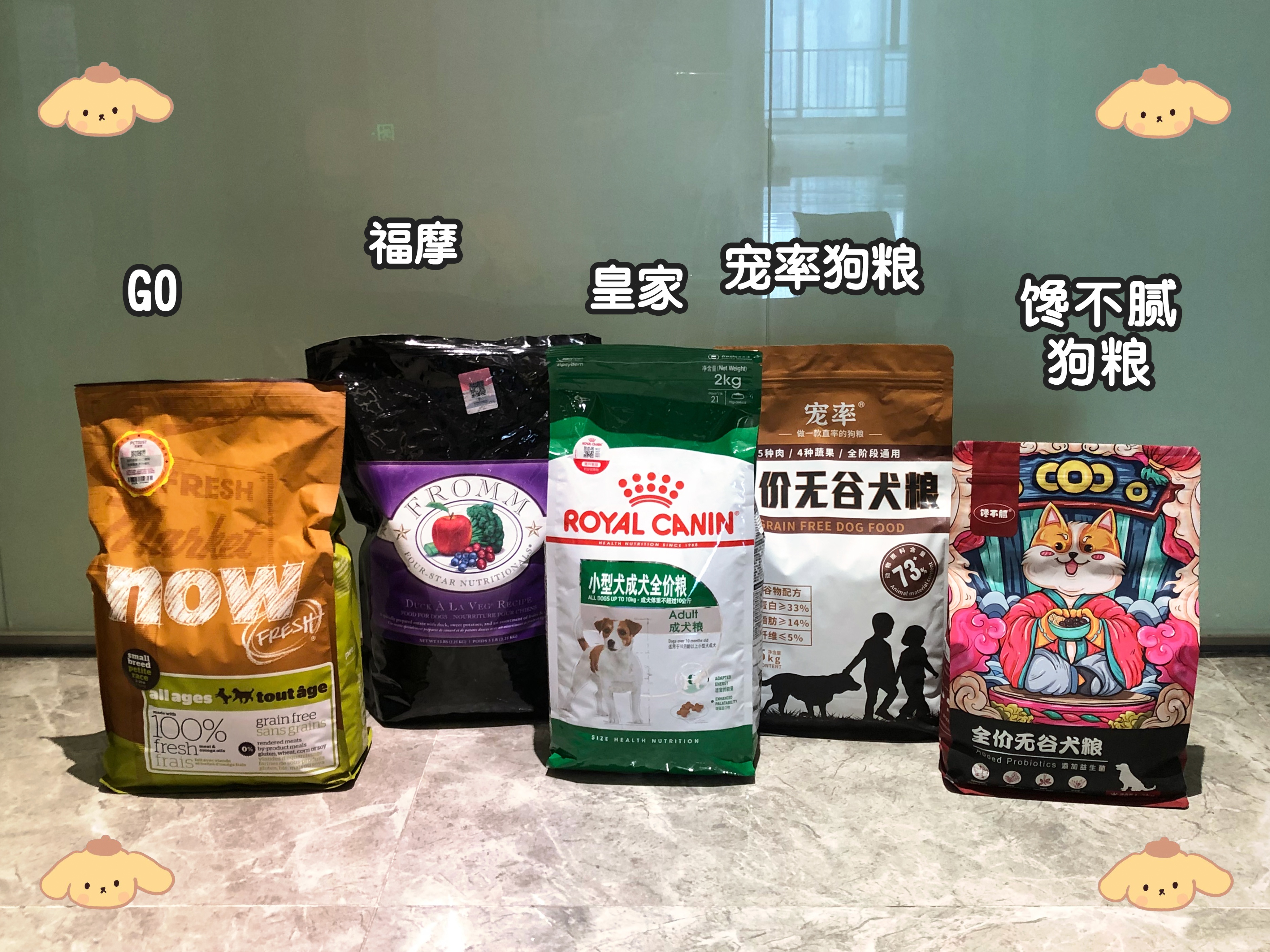 纯种泰迪和串串的区别,泰迪如何分辨纯种和串串