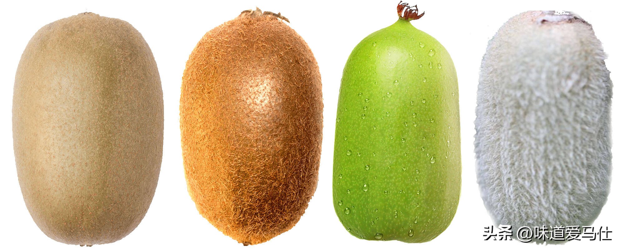 国内最好吃的猕猴桃产地,中国最好吃猕猴桃在哪里