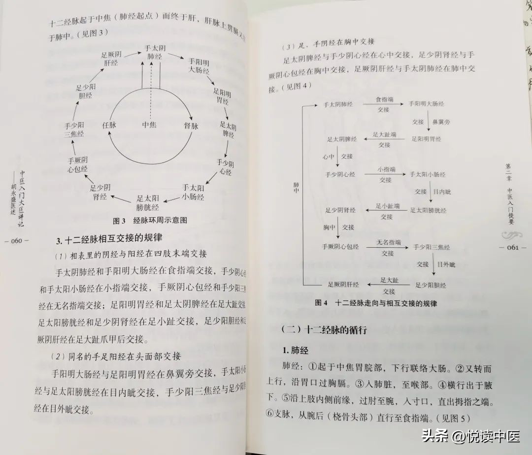 学中医最快入门方法,想学学中医怎么入门