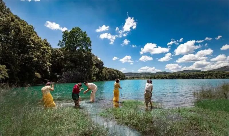 云南四月各地泼水节狂欢全攻略,2023年什么时候开始过泼水节
