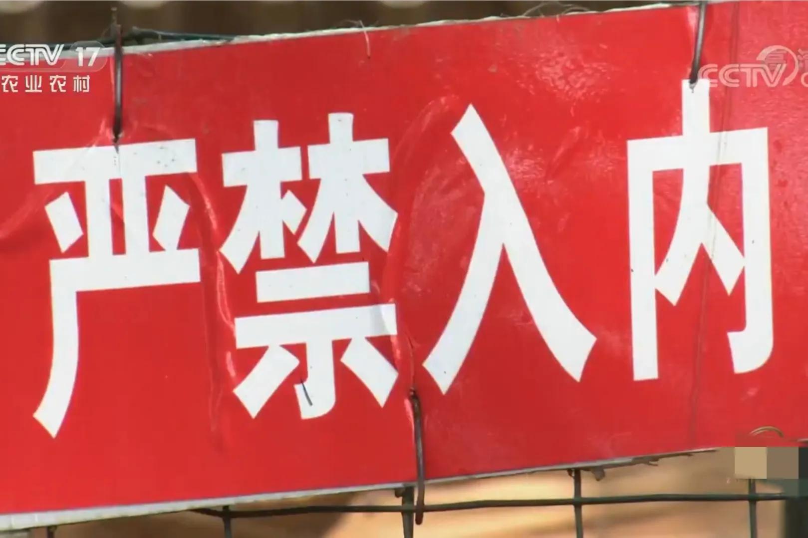 湖南女子投资180万开农庄日入2位数,如今靠柴火鸡年销售额1000万