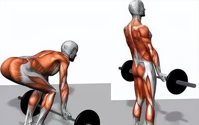 训练背部没感觉？教你掌握练背技巧，感受身体张力，强大背部肌肉