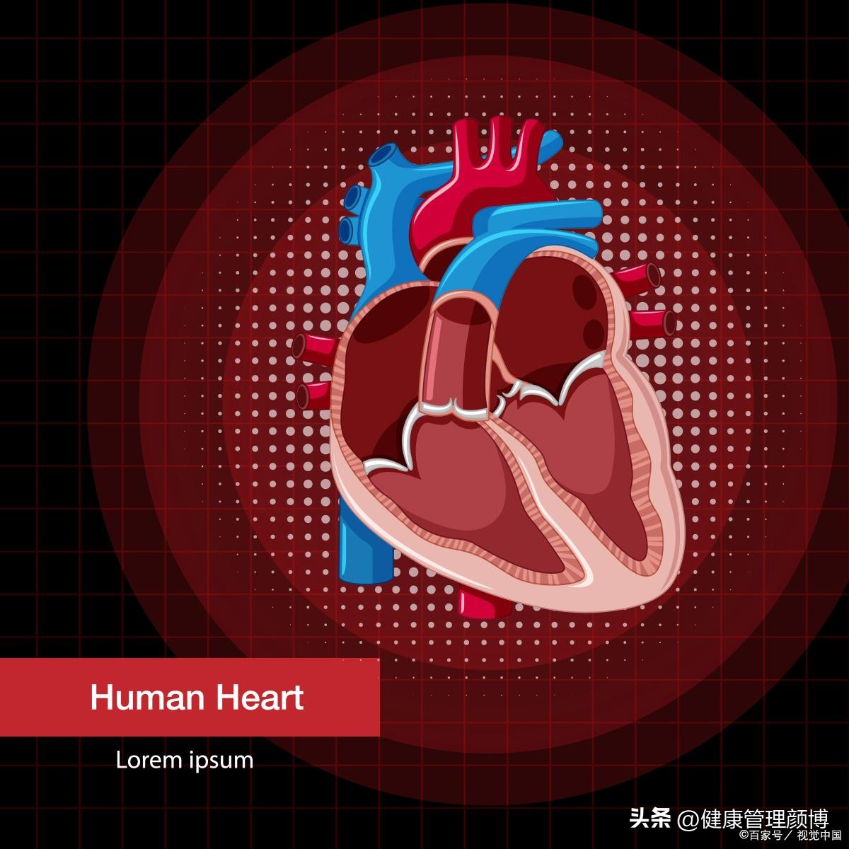 权威人士谈辅酶q10,专家讲辅酶q10视频