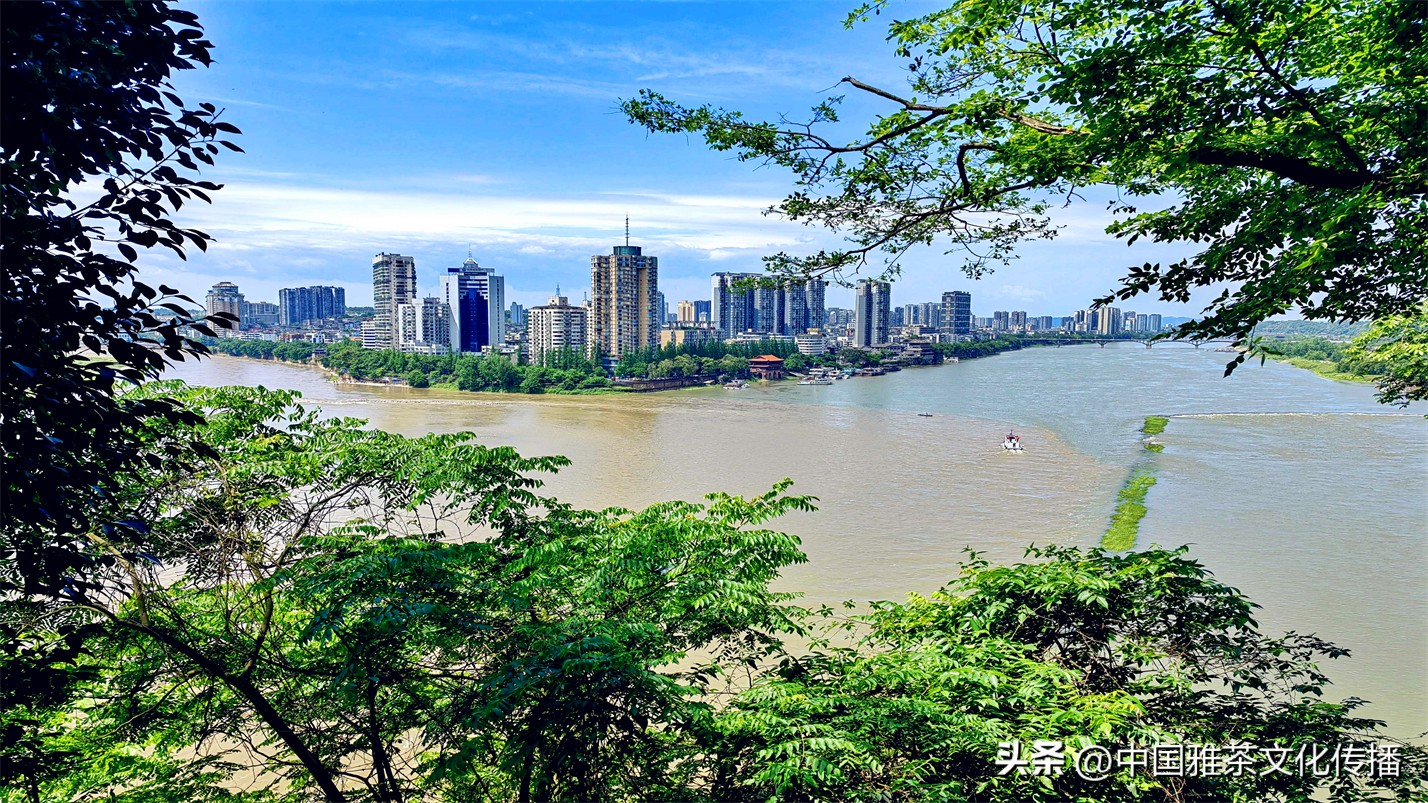 有一种幸福叫友情,幸福和谐的一家人