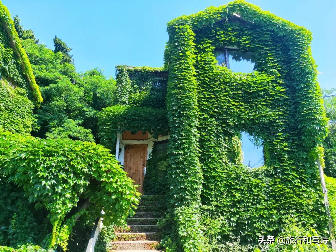 大连十大网红打卡圣地一网打尽,大连新晋网红打卡地东西价格