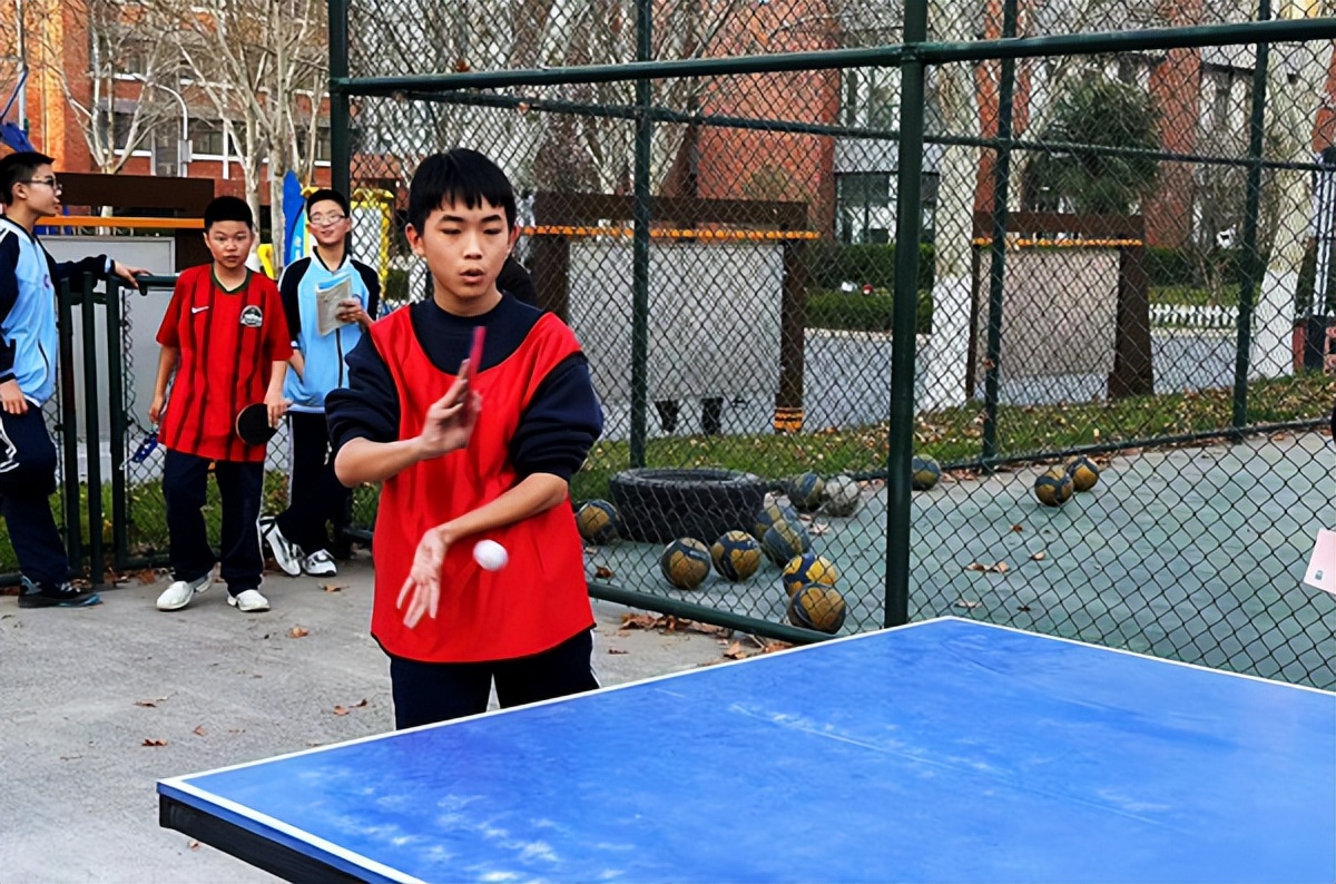 传承体育文化弘扬体育精神为主题,弘扬国球精神感受乒乓魅力