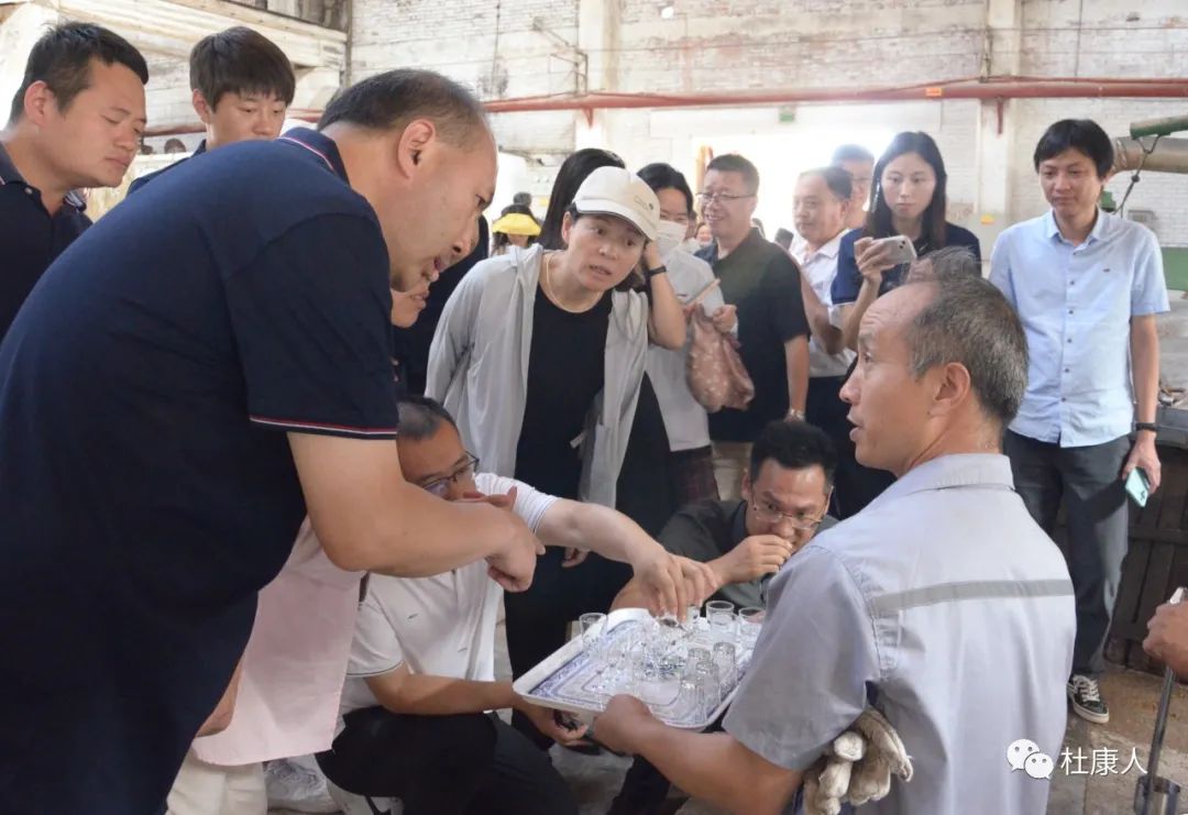 杜康酒厂车间参观,杜康酒厂参观纪念酒品鉴视频