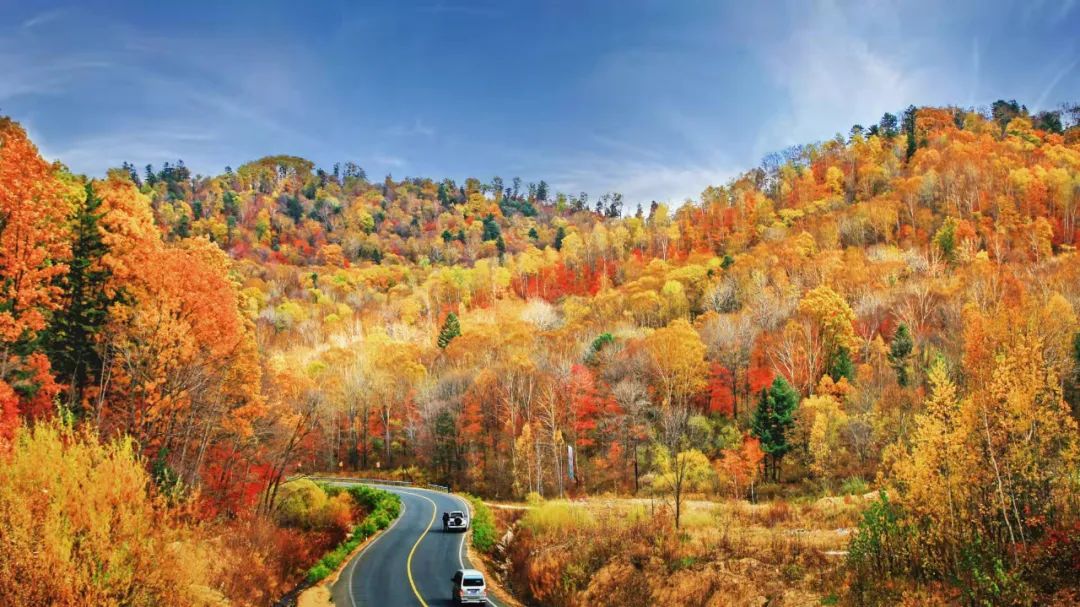 【延边人游延边】玩好吃好住好,这样的敦化很难说不爱