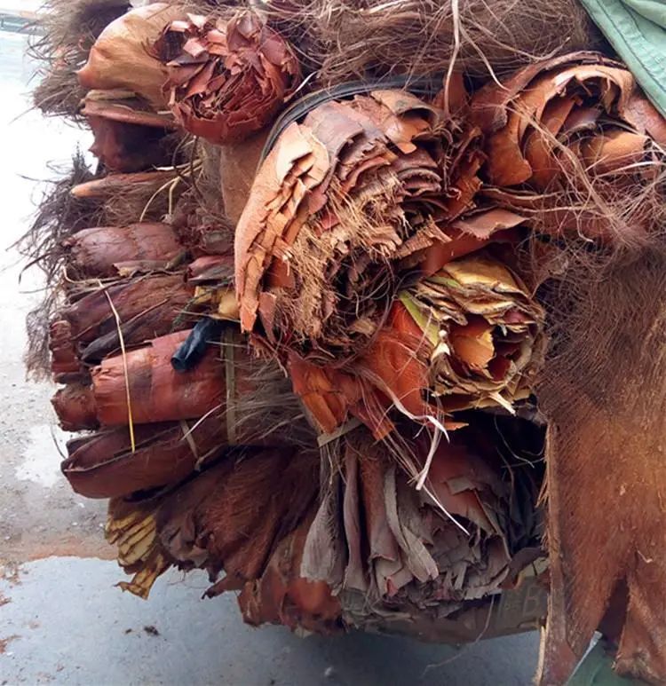 环保棕榈和普通棕榈的差别,品牌棕榈床垫安全环保无甲醛