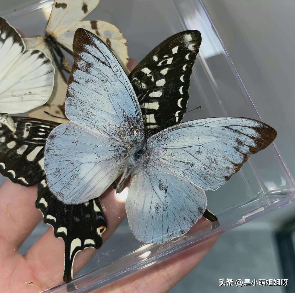 做自媒体赚钱真的很轻松,新手做自媒体赚钱步骤图解