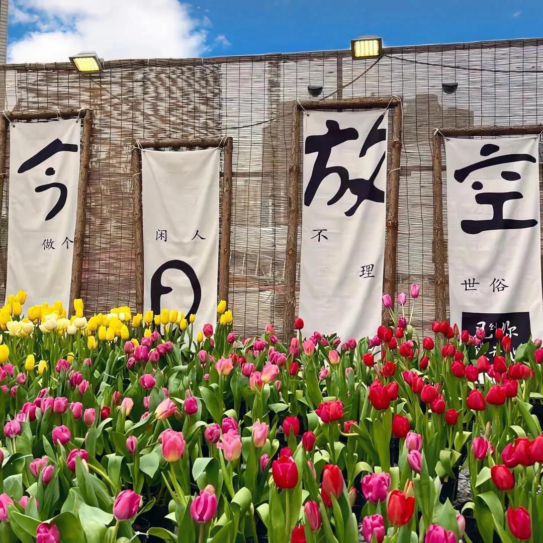 令人心情放松清爽的背景图,背景图小清新温馨春天