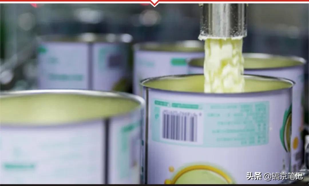 被“围猎”的陕西奶羊们……