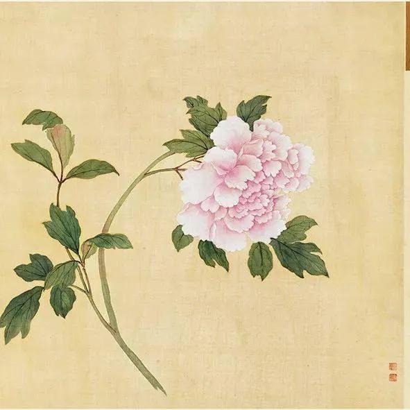 蒋廷锡牡丹画法,蒋廷锡百种牡丹画法