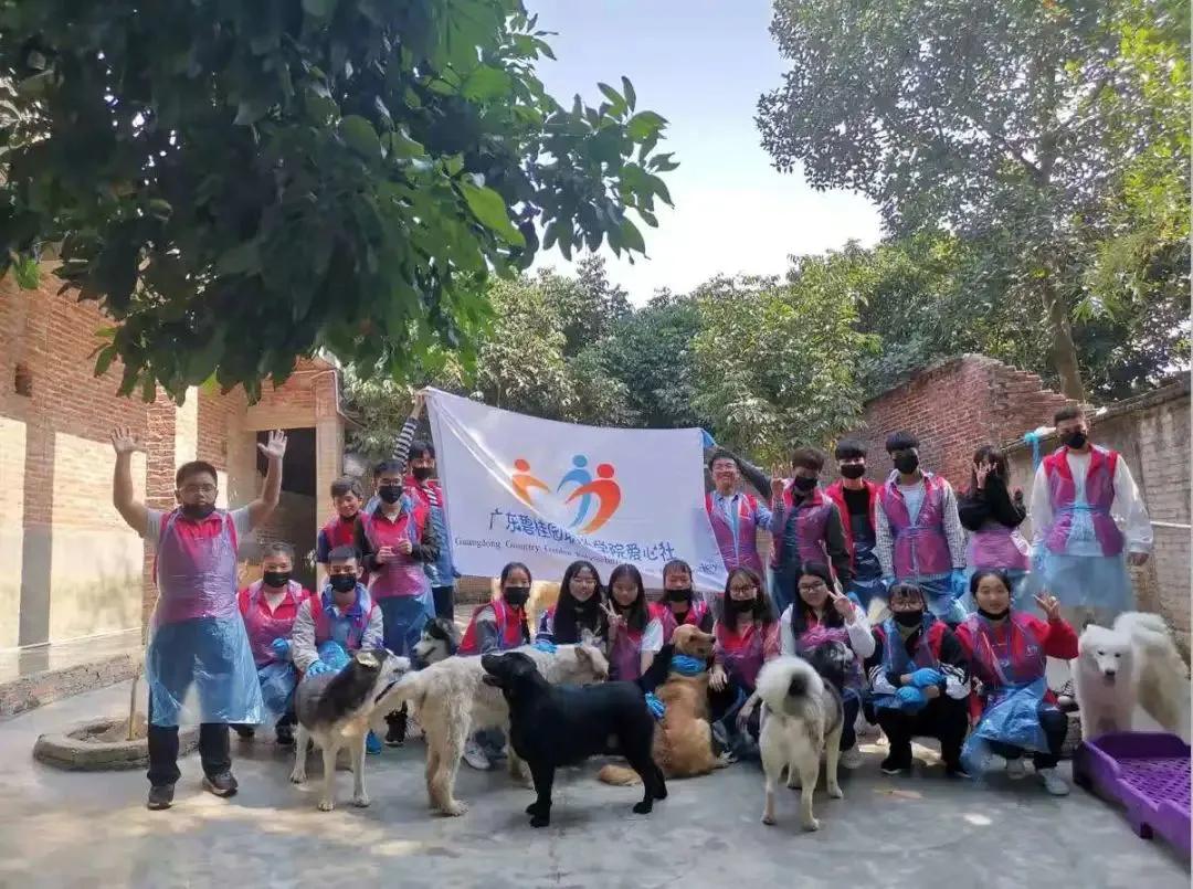 广东碧桂园职业学院招生计划,广东碧桂园职业学院2023年