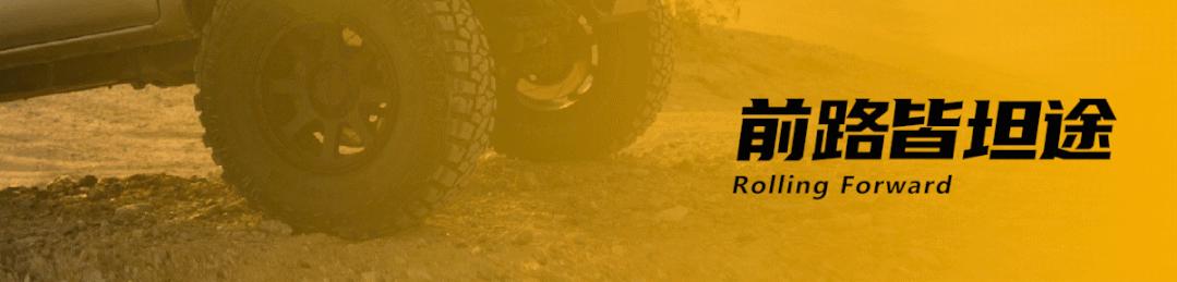 3家轮胎企业入围民营百强榜,轮胎企业2019年销售排行榜表