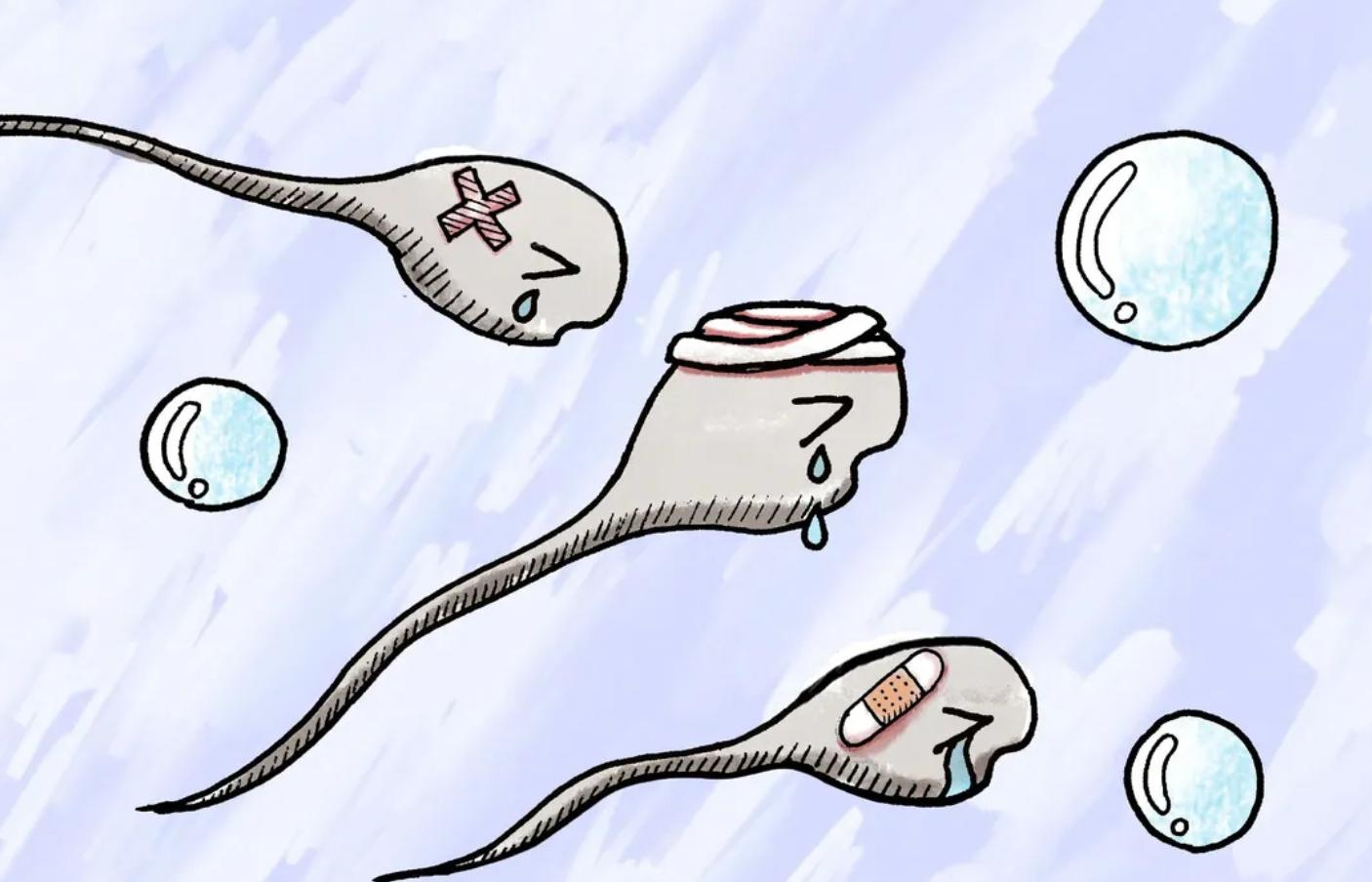 太心酸了：进入女性体内后，精子可能会被“累死”！看完别笑