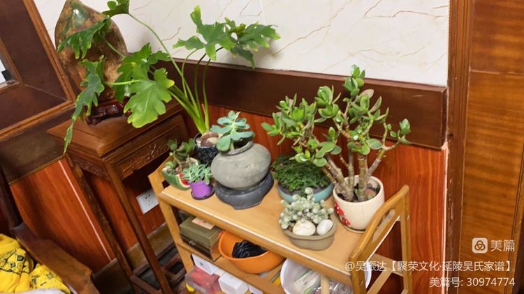 绿色是生命中的最美色彩