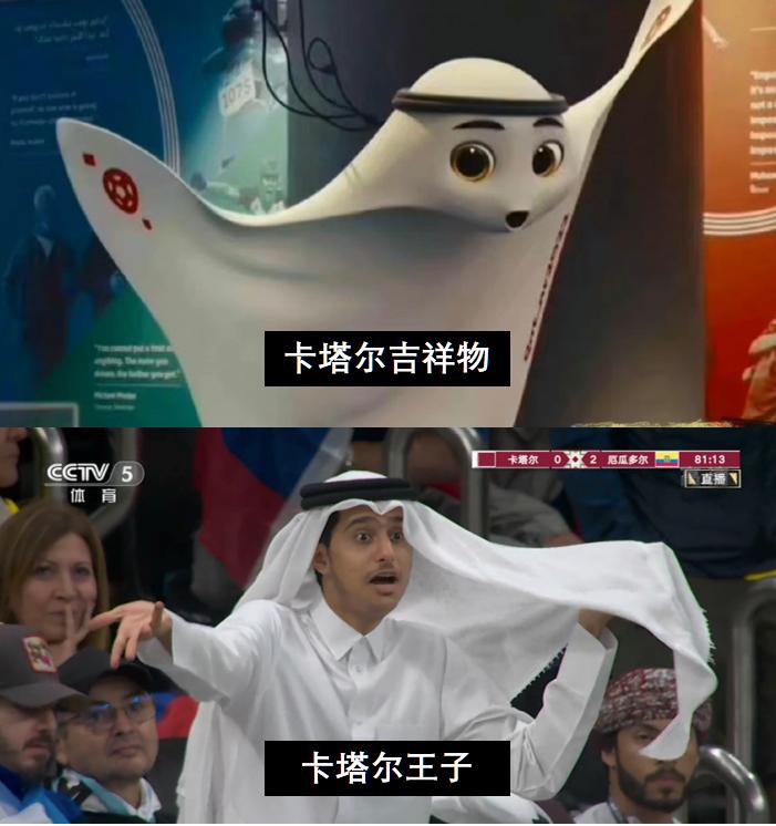 卡塔尔世界杯你要知道的,关于卡塔尔世界杯的小知识