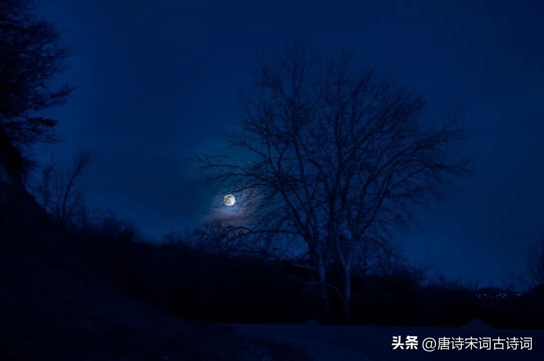 秋夜，月光凉凉，思念深深