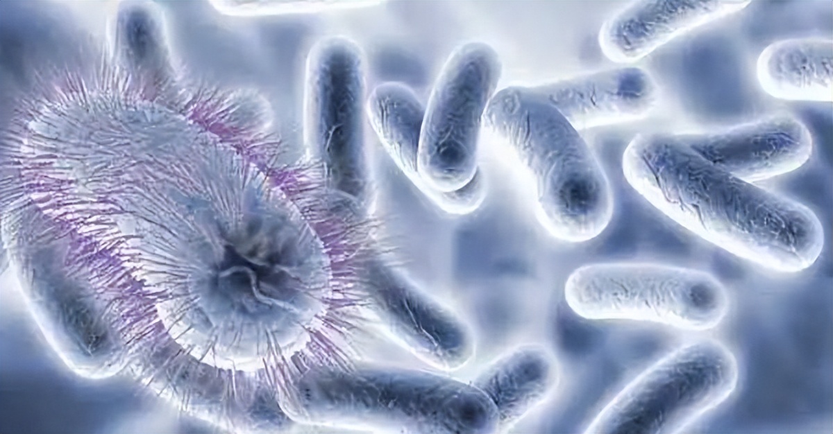 哮喘临床研究动态图表,哮喘国际最新研究成果