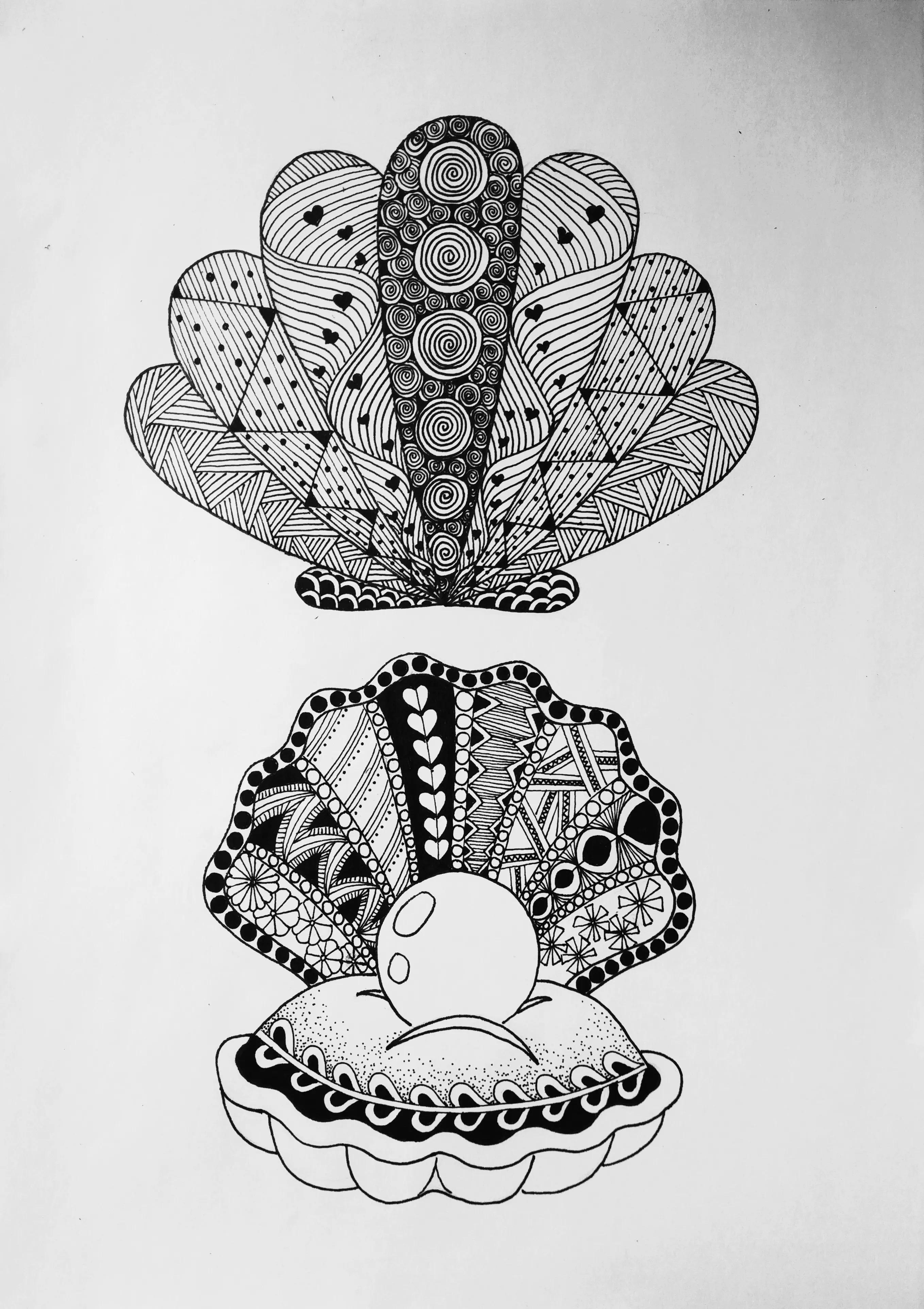 在扇贝上怎么画简单又漂亮,儿童线描画扇贝