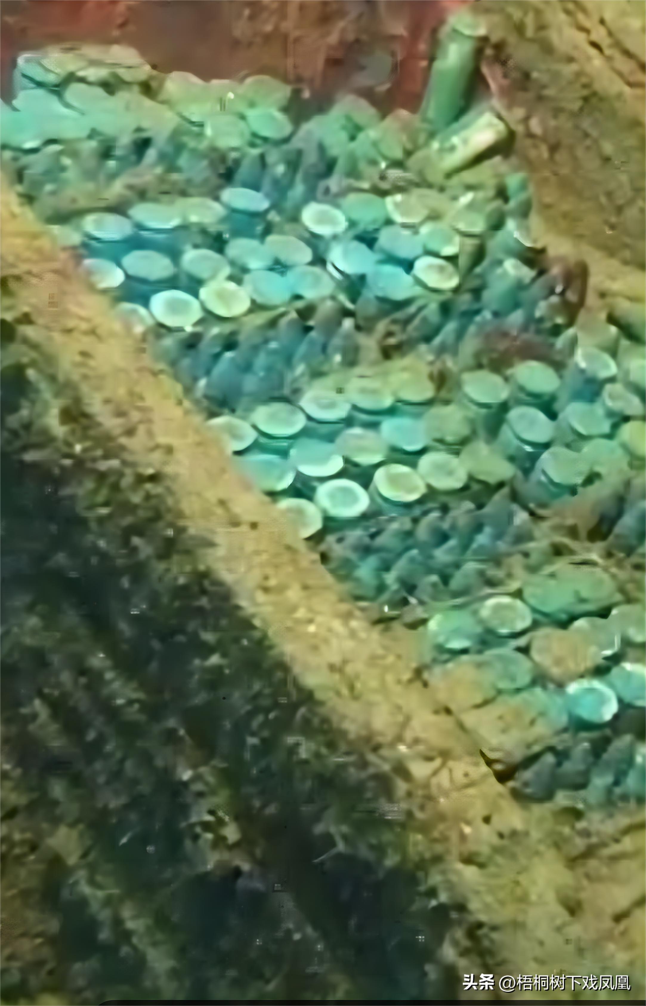 华光礁1号沉船古瓷,沉船古瓷