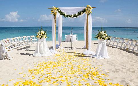 婚礼堂怎么样,婚礼堂前景怎么样