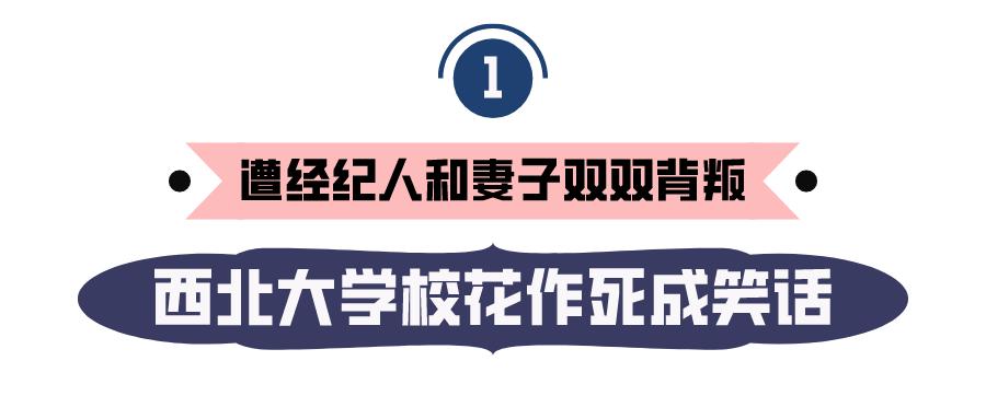 王宝强靠装疯卖傻成影帝甄子丹,傻根王宝强