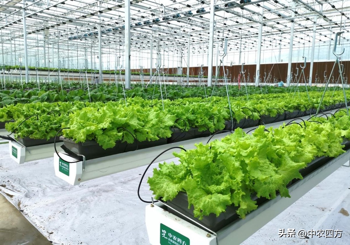 乡村振兴最新土地政策与拿地要点,乡村振兴产业规划2020-2035