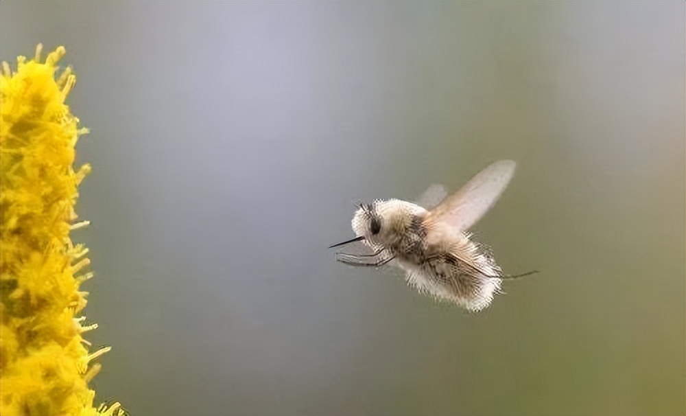 中国以前的足球有多厉害,趣知识科普