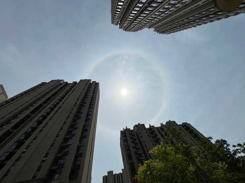 谁是影像机皇,谁才是手机机皇