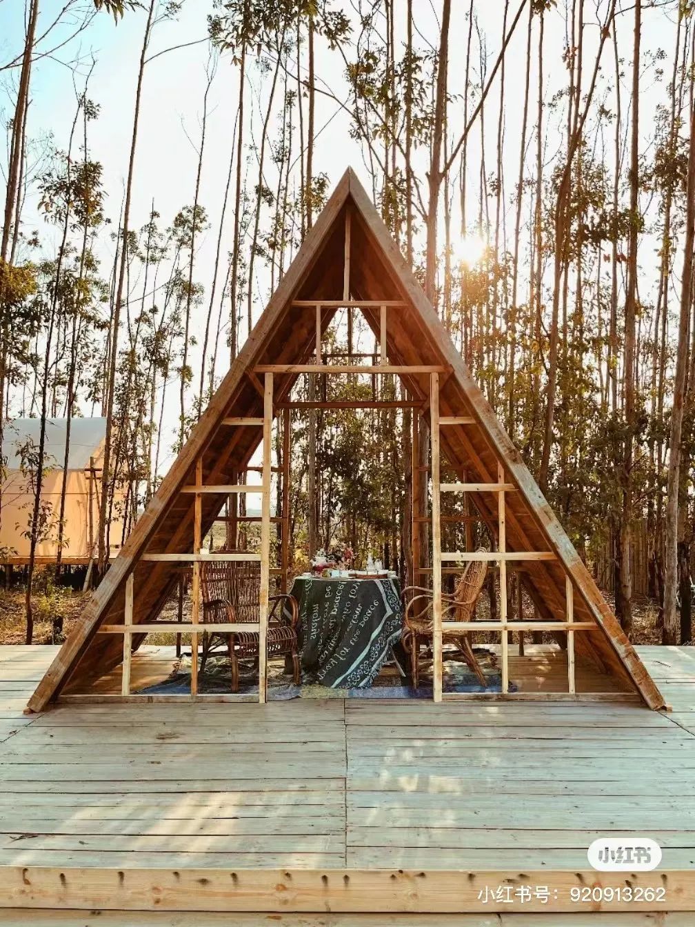 闽山闽水物华新,闽山闽水物华新在师生中引热议