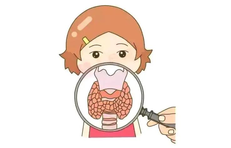 女性易患甲状腺结节，应该如何用营养干预