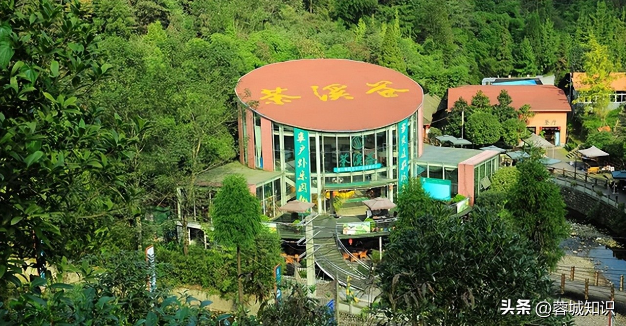 都江堰旅游必去十大景点有哪些,都江堰旅游景点大全最新