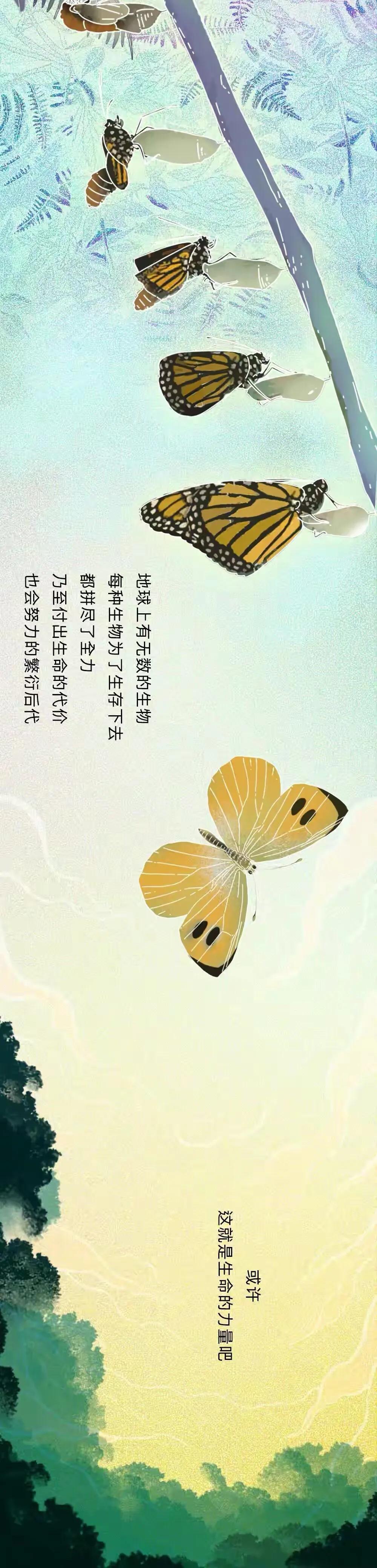 海陆空动物交配姿势对照表（严肃正经版）