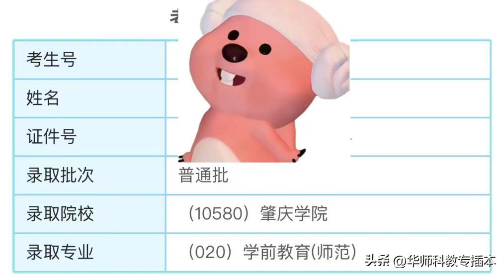 分享！政治82英语95，机会永远留给有准备的人！