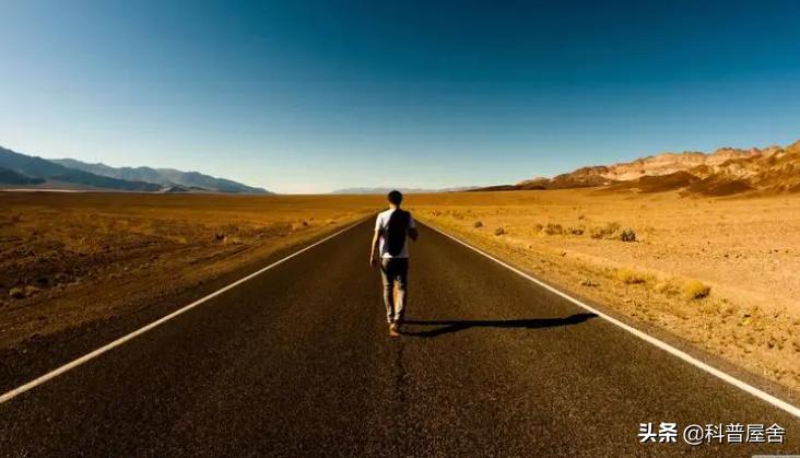 命运是哲学还是玄学,命运是注定的吗还是只是玄学