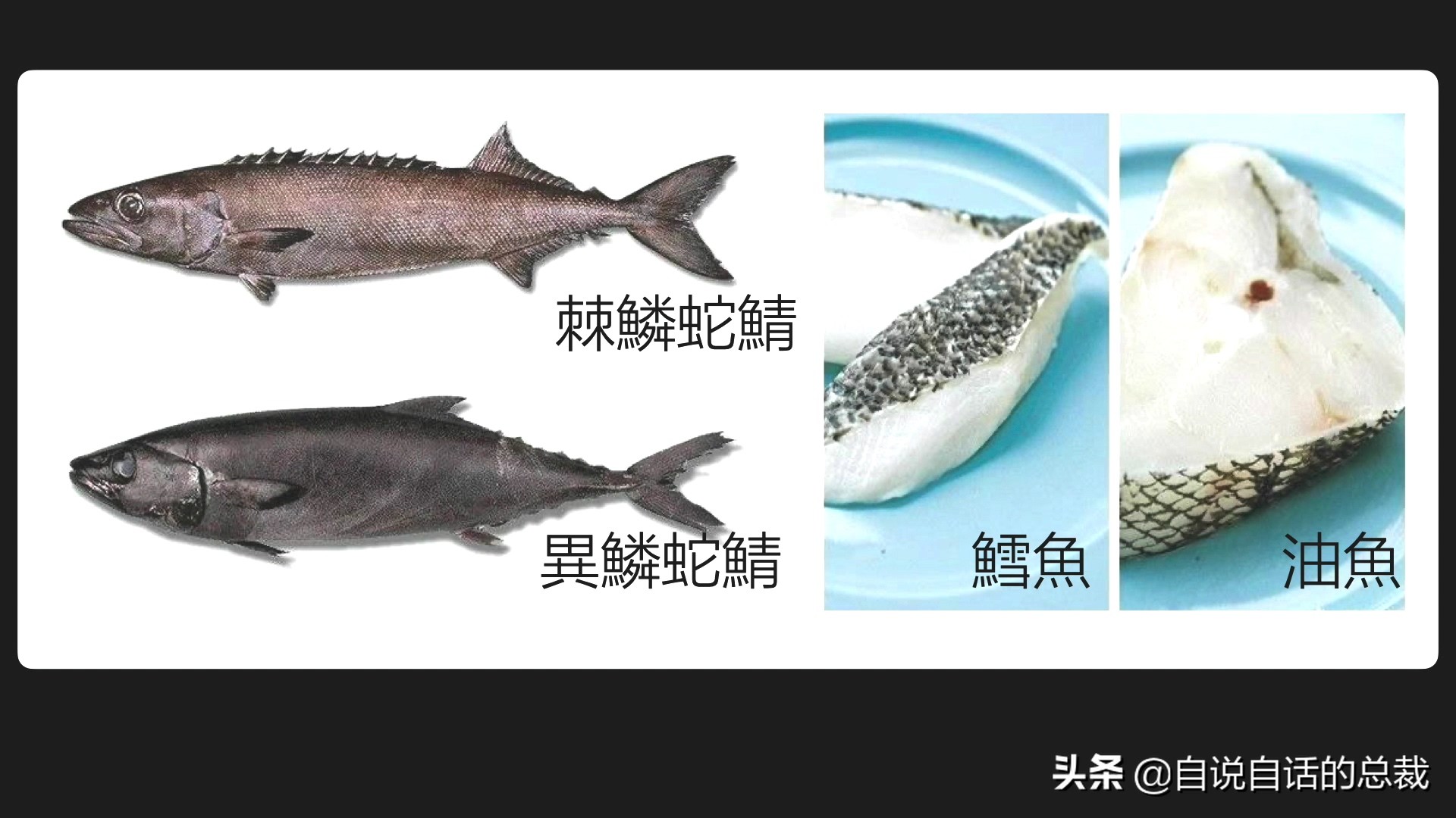 为什么买的鳕鱼段都是粘液,为什么买的鳕鱼那么多水