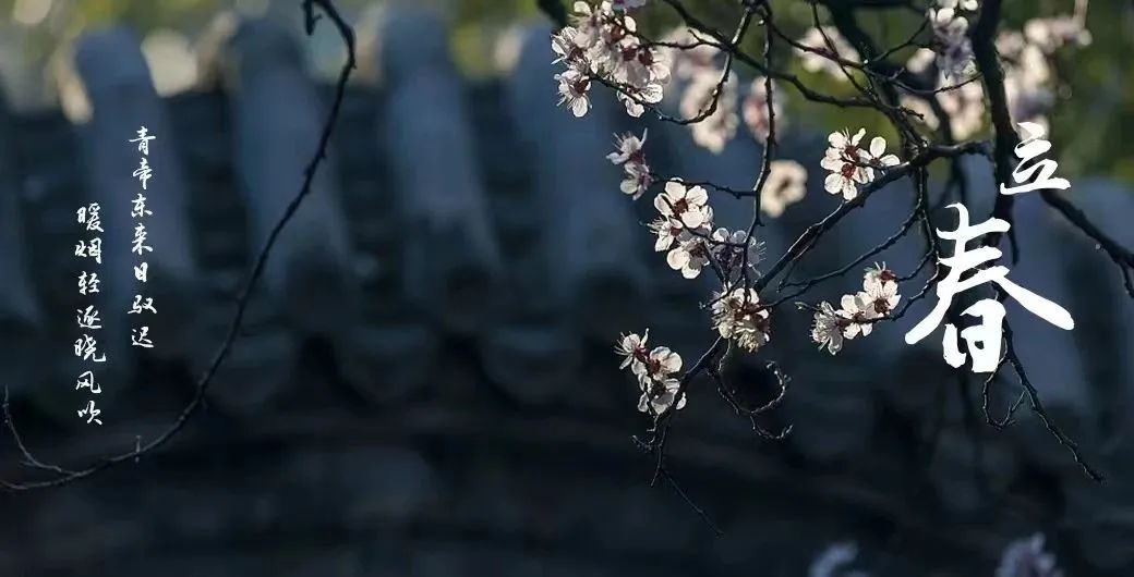 黄黎星教授《“三阳开泰”与立春》