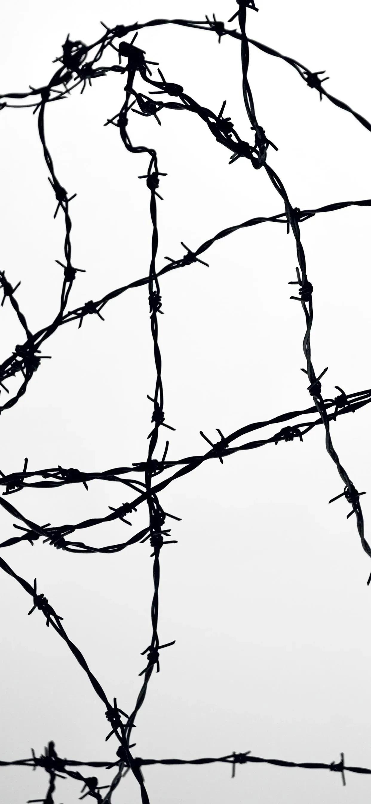 黑白配色壁纸,黑白高清壁纸4k全屏