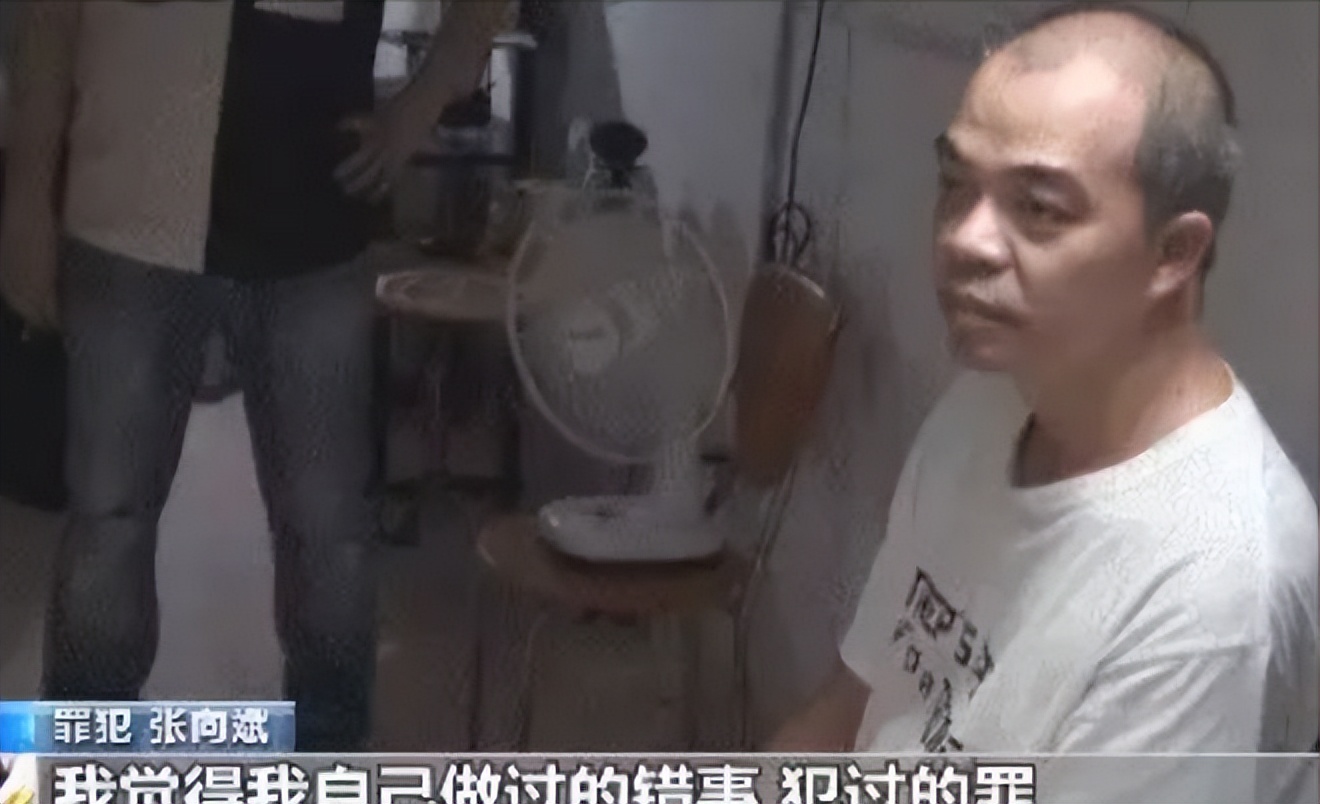 张向斌间谍案媒体采访,张向斌间谍案是哪部电影