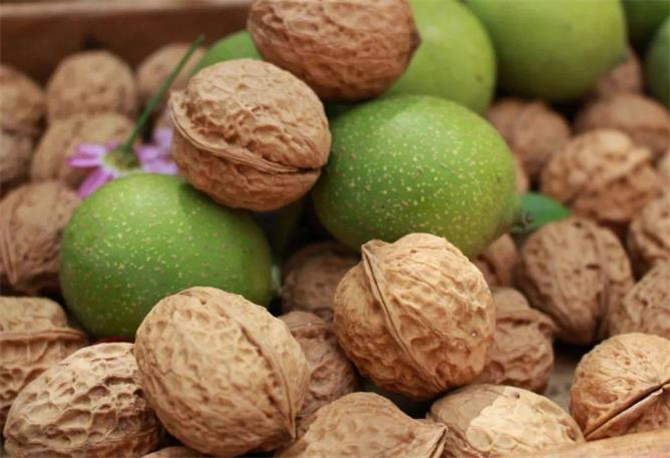 新鲜核桃怎么剥皮,生核桃怎么剥皮用袋子装着可以吗