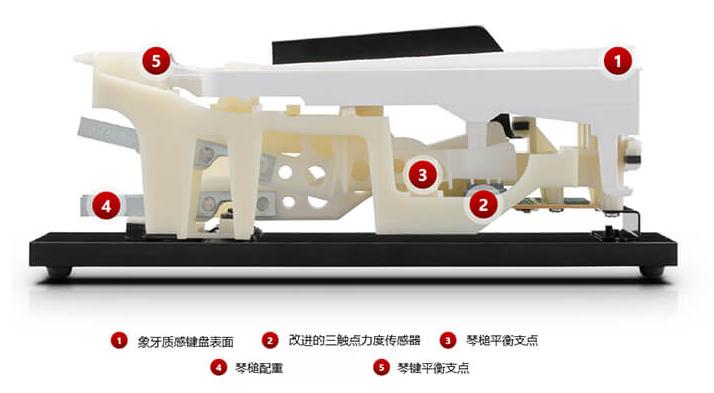 入门kawai电钢琴,kawai电子琴入门