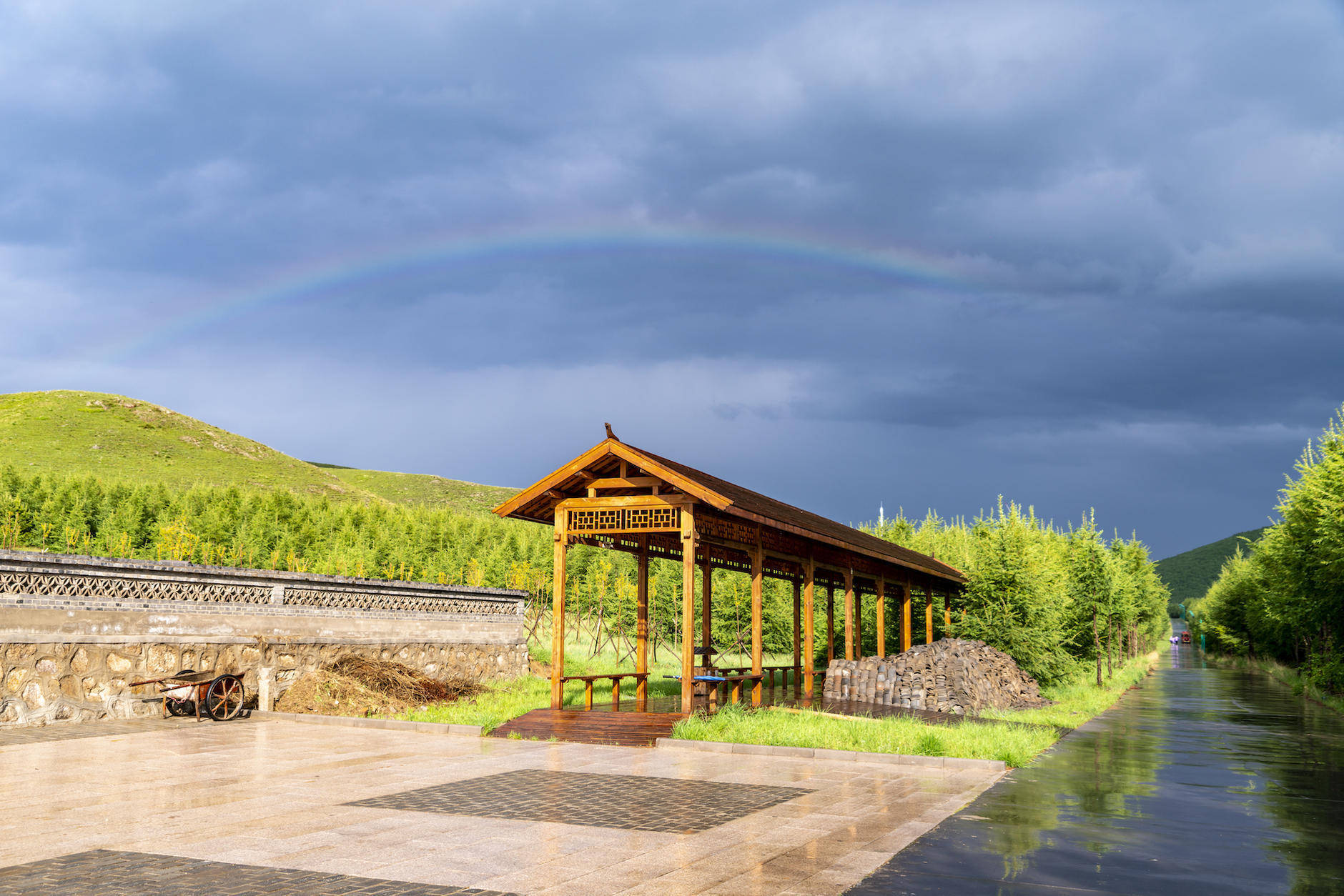 丰宁坝上草原的夏天,丰宁坝上草原夏天景色