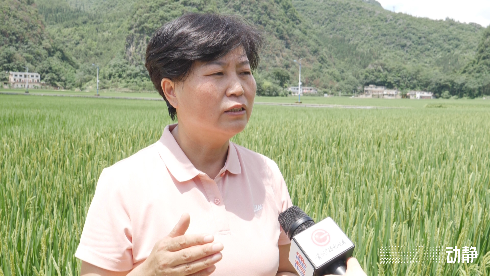 万峰林长视频,万峰林实时画面