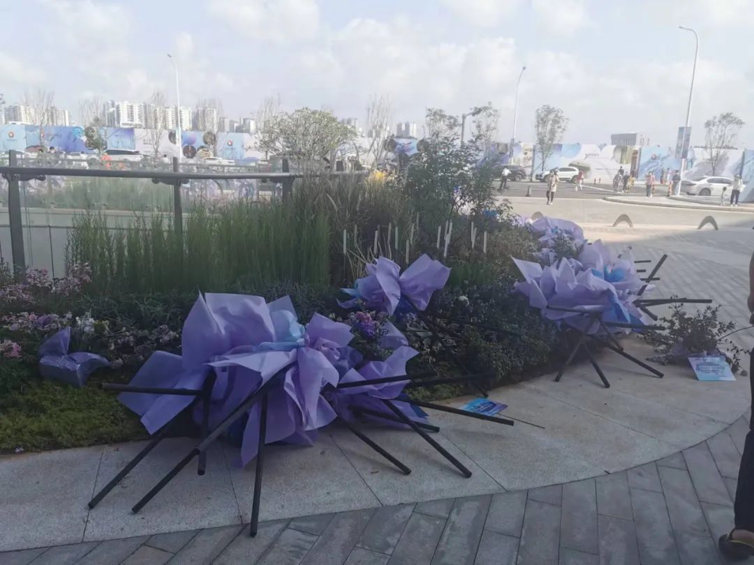 海口国际免税城哪个折扣力度最大,海口国际免税城去一次多少钱