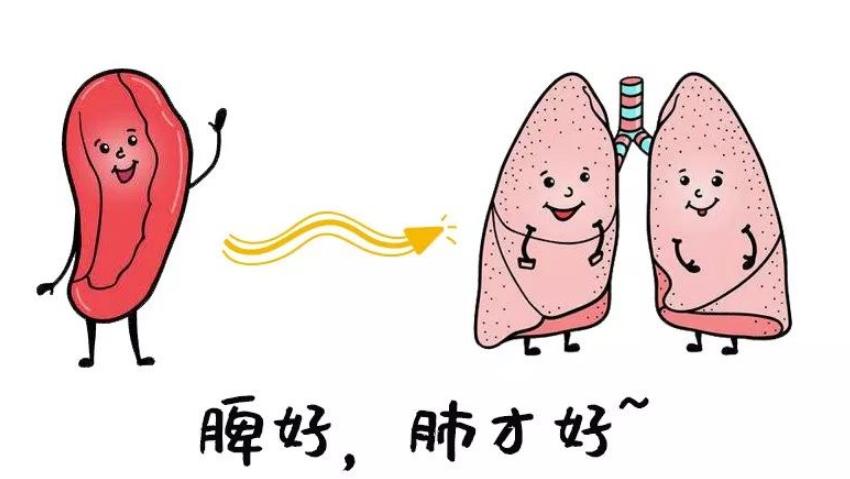 脾胃虚弱用归脾丸还是逍遥丸？中医一次说清