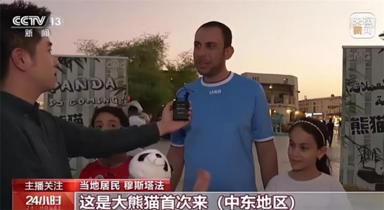 卡塔尔世界杯比赛商业分析,汽车卡塔尔世界杯