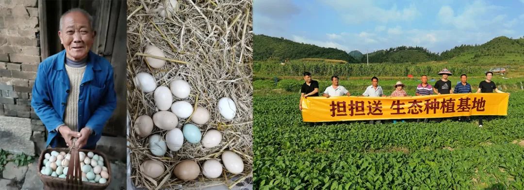 钱大妈头疼：深圳生鲜黑马担担送如何逆袭？