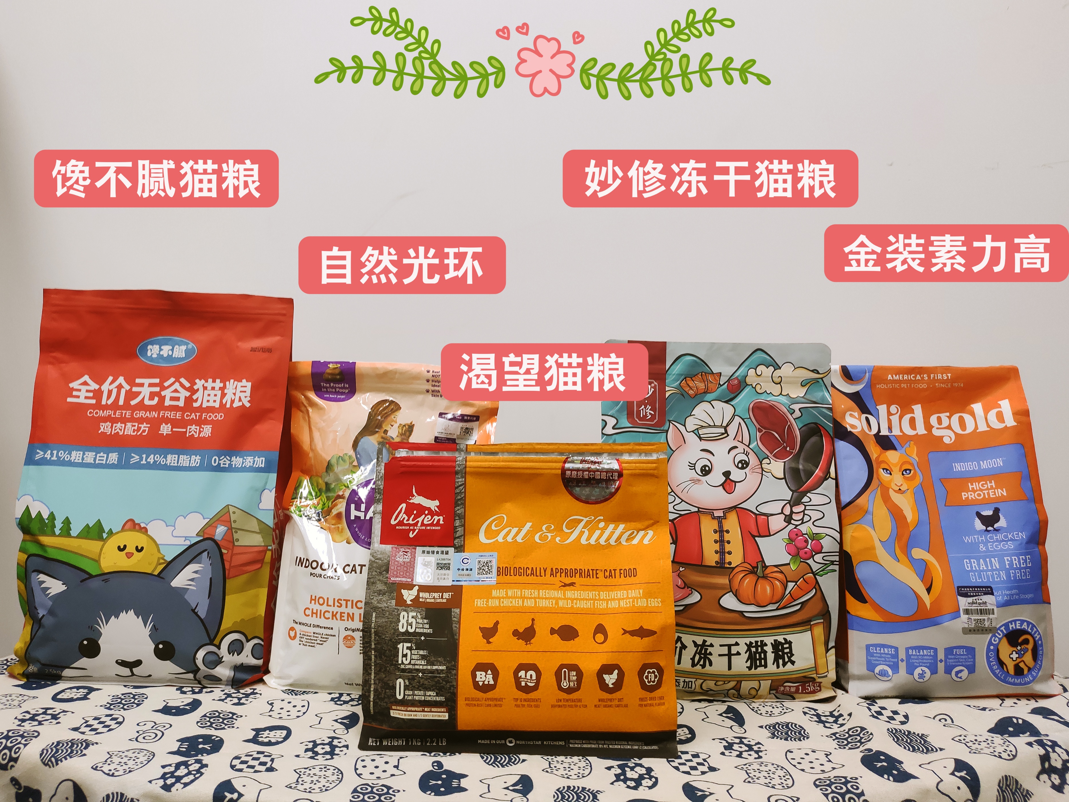 养猫首选这6种猫,养猫最好的4种人